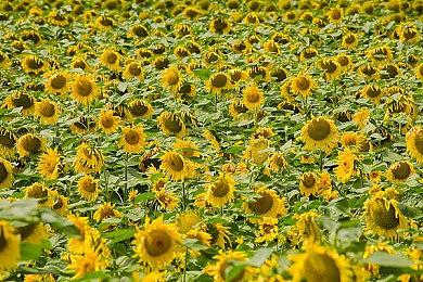 横版动作闯关游戏《夜血：复仇之潮》Steam页面上线 7月11日发售